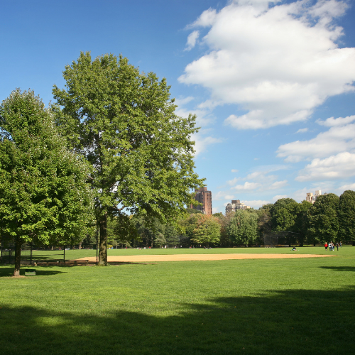 Central Gathering Lawn